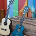 Learn to Play the Ukulele – Complete Starter Kit with Bag