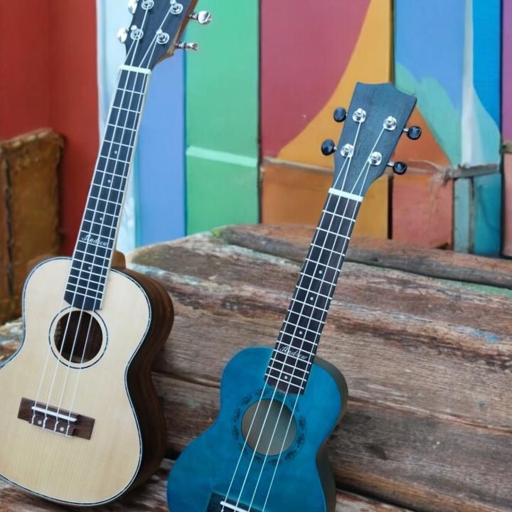 Learn to Play the Ukulele – Complete Starter Kit with Bag