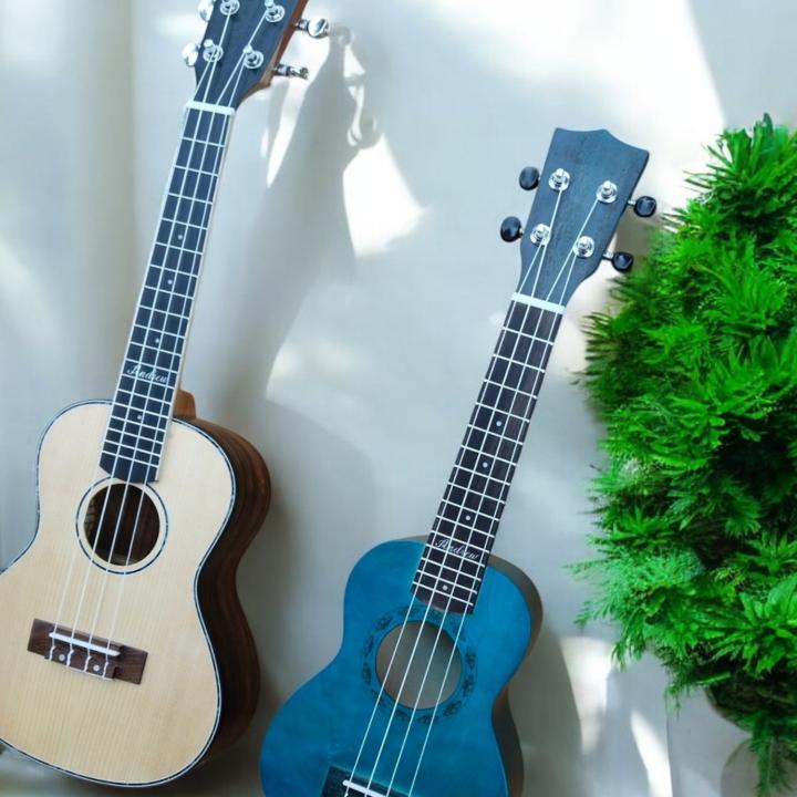 Learn to Play the Ukulele – Complete Starter Kit with Bag