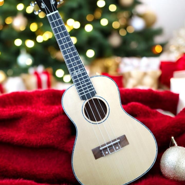 Learn to Play the Ukulele – Complete Starter Kit with Bag
